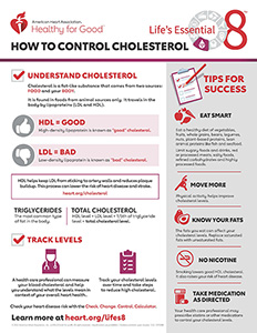 Consulte la hoja de datos Cómo controlar el colesterol en PDF