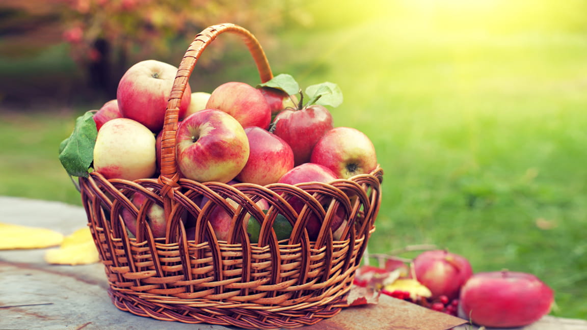 cesta con manzanas