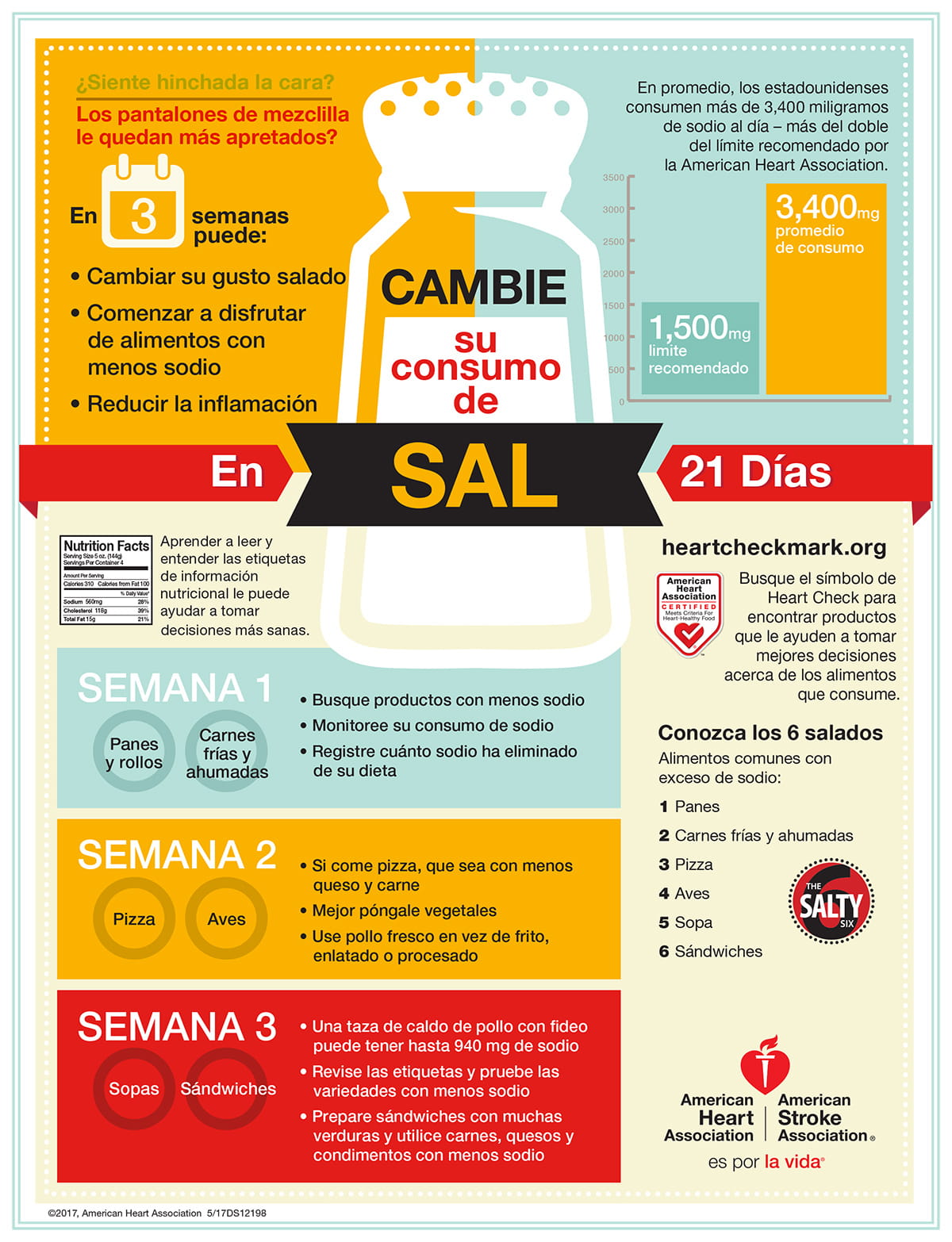Infografía del Intercambio de sodio, español