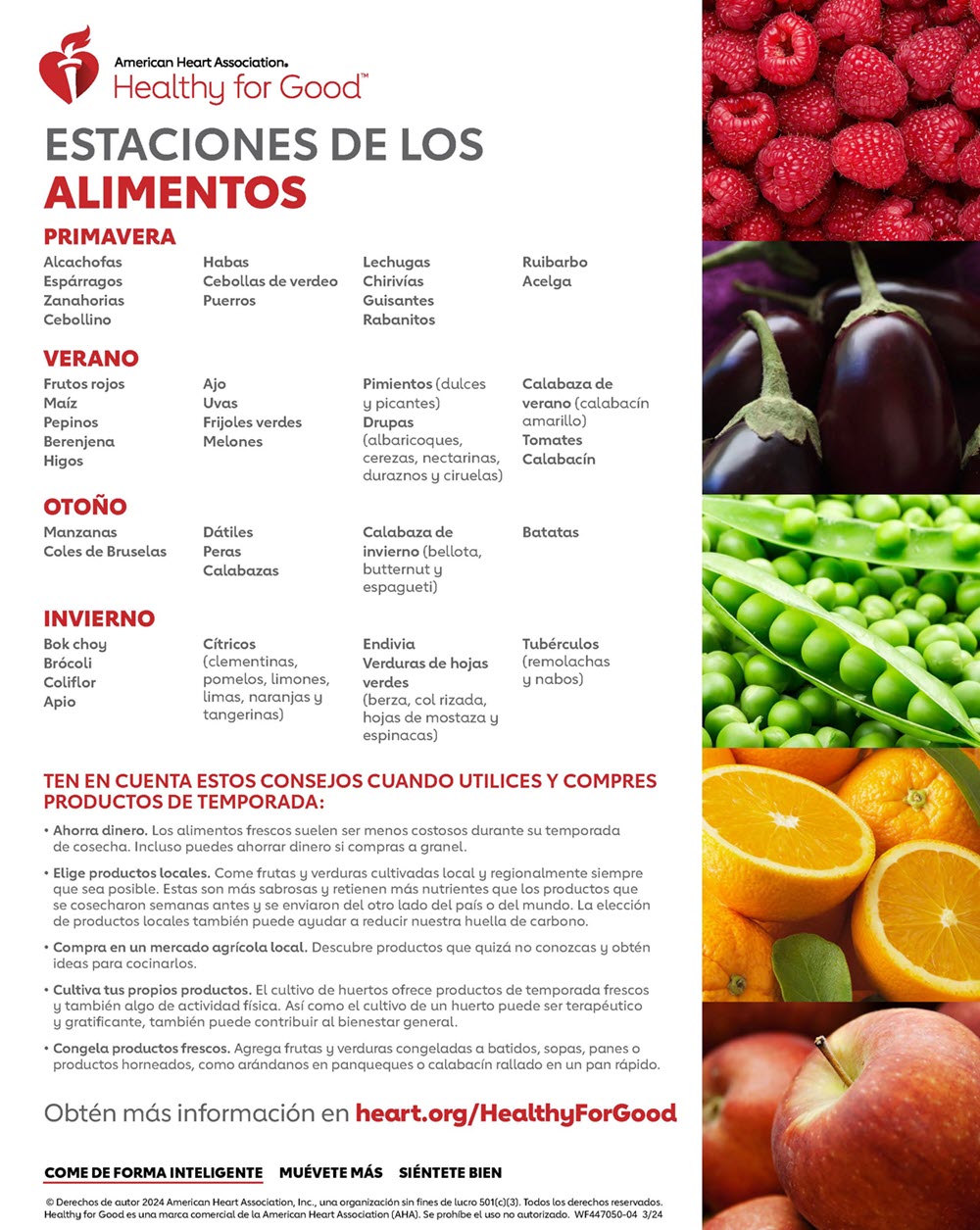 Infografía de Alimentos estacionales