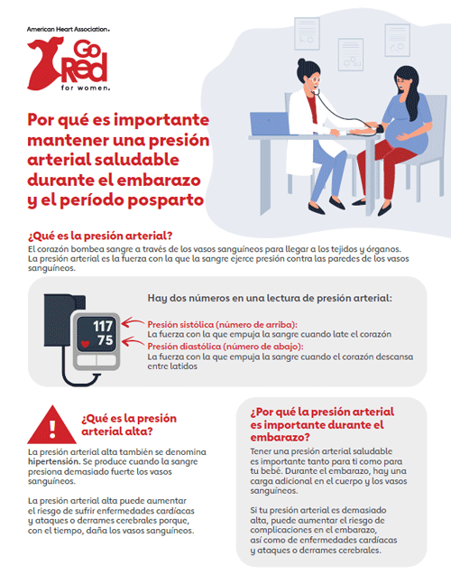 Miniatura de PDF Por qué es importante mantener una presión arterial saludable durante el embarazo y el período posparto