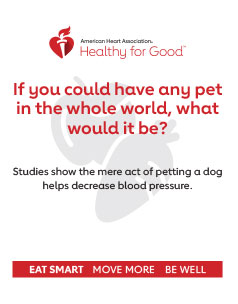 Si pudiera tener cualquier mascota, ¿cuál sería? Los estudios demuestran que el simple hecho de acariciar a un perro reduce la presión arterial.