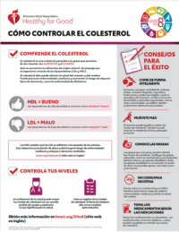 View How to control cholesterol fact sheet PDF