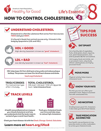 Cómo controlar el colesterol