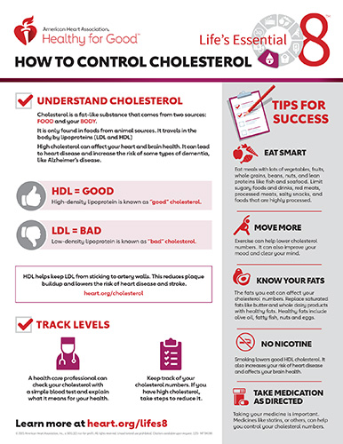 How to Control Cholesterol