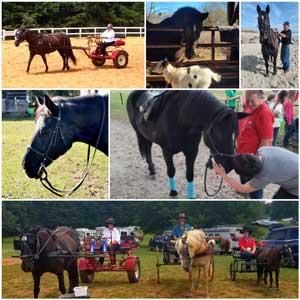 Billie Jo y su caballo Grace