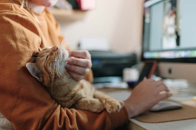 Mujer acariciando a un gato sentada en su escritorio