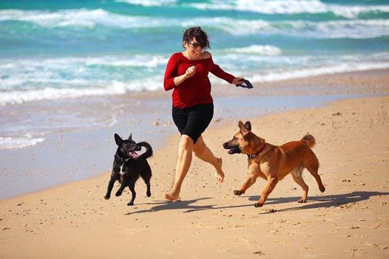 perros mujer corriendo por la playa