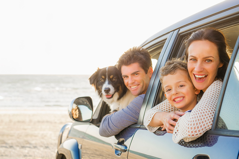 Una familia y su perro en automóvil en la playa