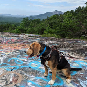 Kit y su perro Thoreau