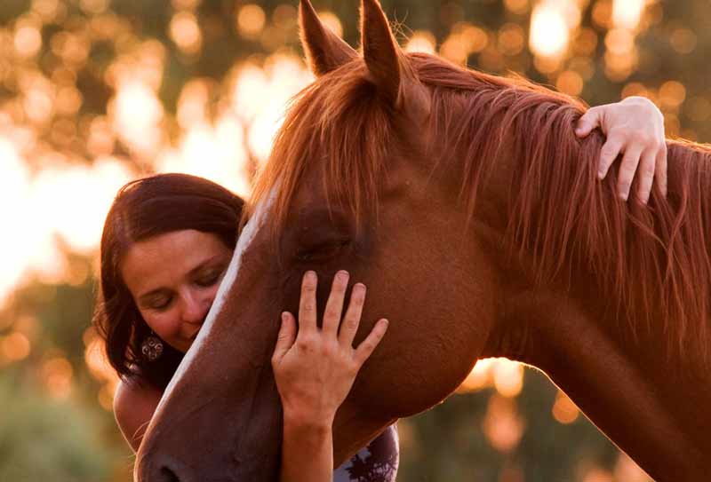 mujeres abrazan a un caballo marrón
