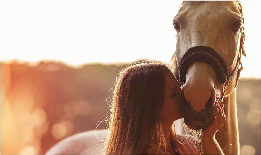 mujeres jóvenes besan a su caballo