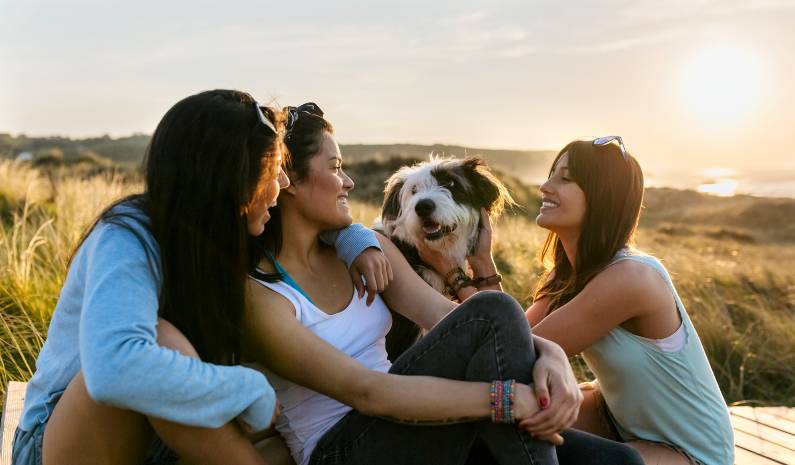 Three happy women with dog sitting on boardwalk at sunset