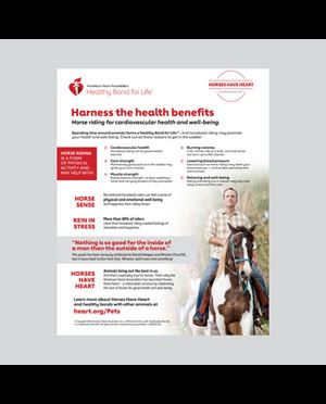 Infografía de equitación para el bienestar y la salud cardiovascular