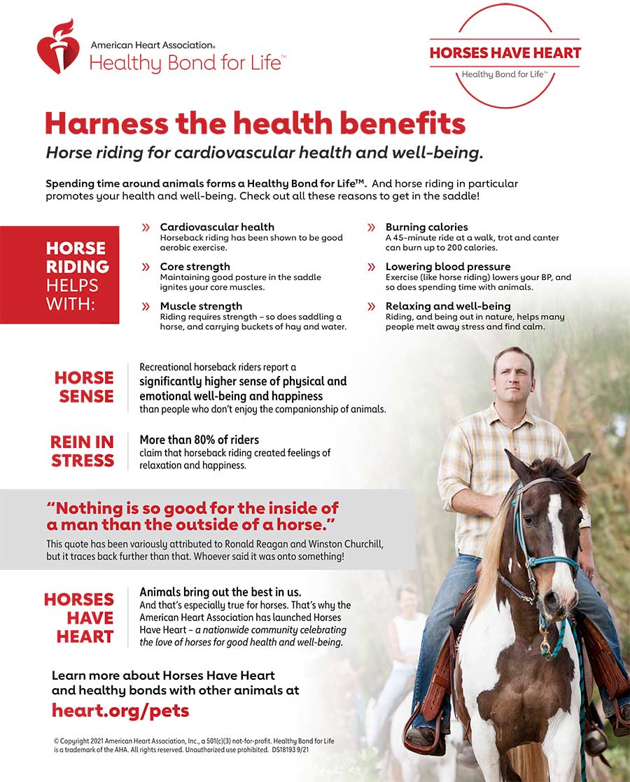 Infografía de equitación para el bienestar y la salud cardiovascular