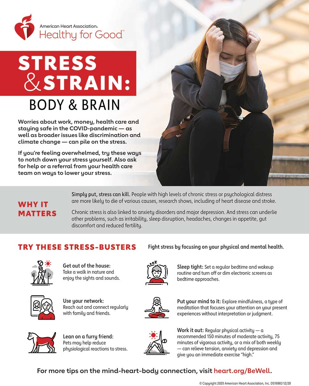 Infografía sobre estrés y esfuerzo, cuerpo y cerebro