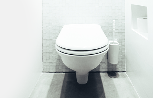 Clean white toilet in crisp modern style bathroom
