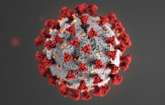 ilustración del coronavirus