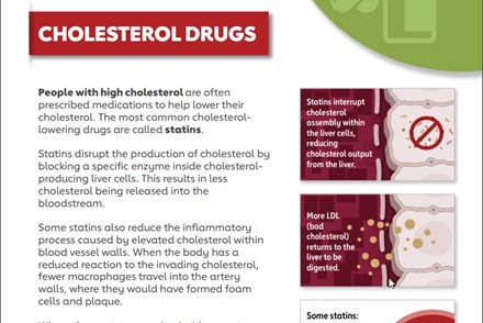 Hoja informativa sobre medicamentos para el colesterol