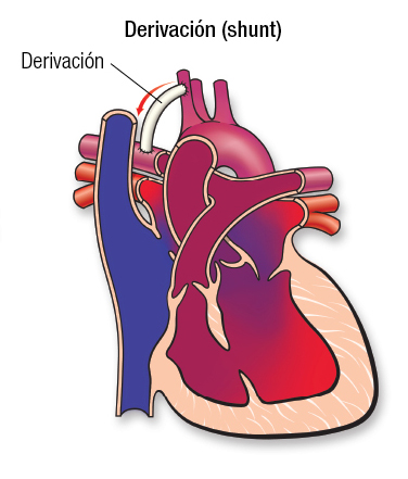 Derivación en AT Español