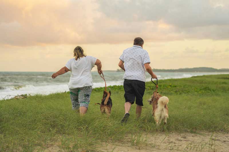 pareja paseando perros por la playa