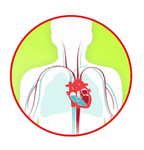 Diagrama de insuficiencia cardíaca