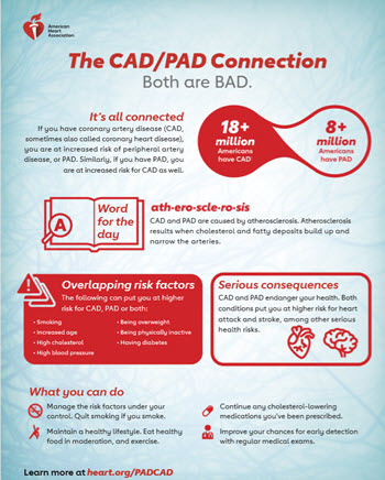 CAD PAD Connection infographic
