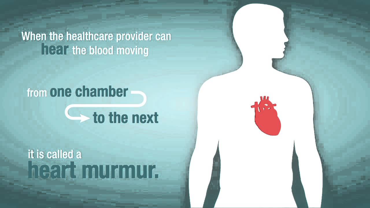 Captura de pantalla del video Soplos Cardíacos y Problemas Valvulares