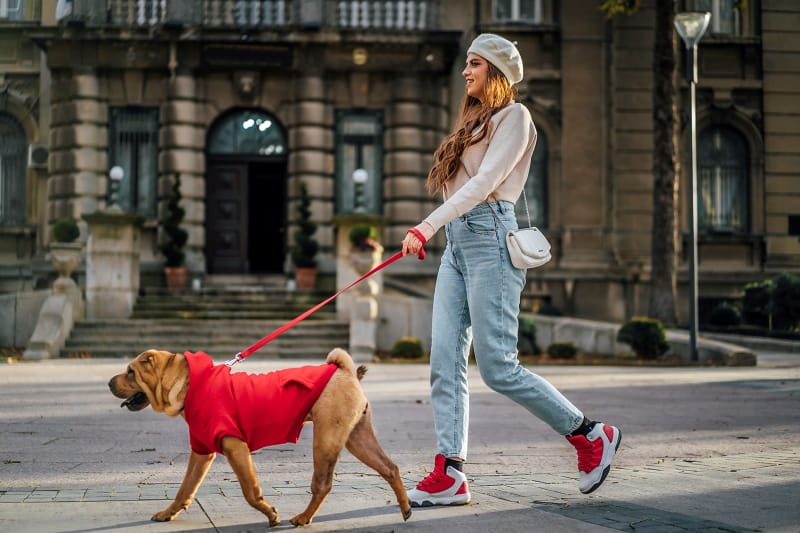 woman walking dog in the city