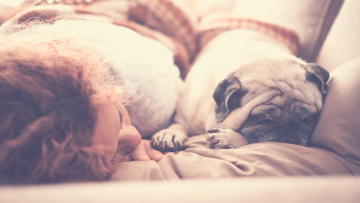 mujer durmiendo la siesta con un perro