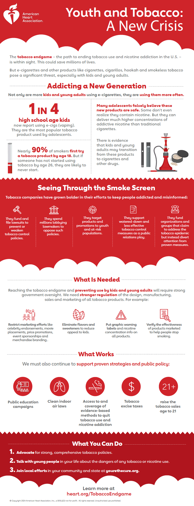 youth and tobacco crisis infographic