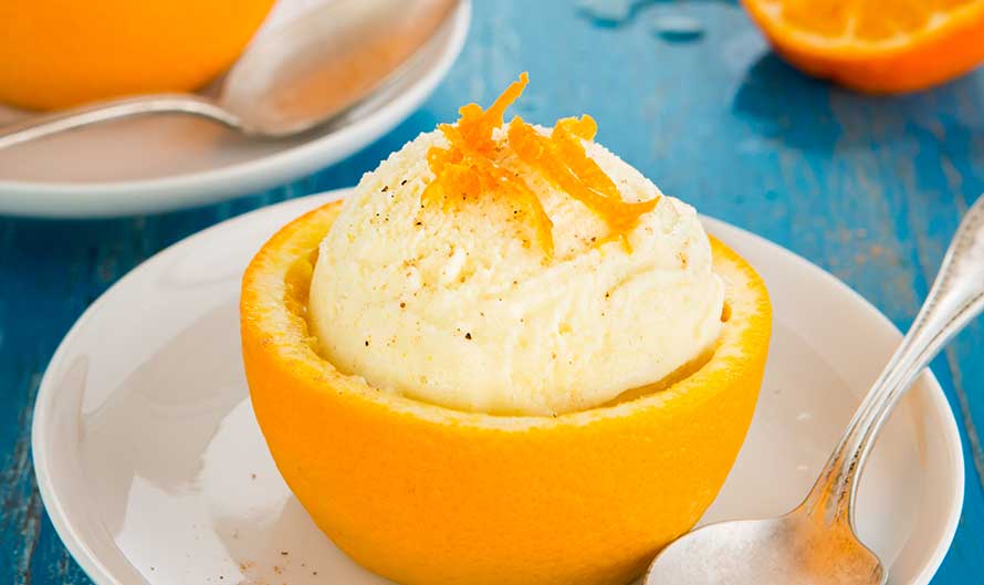 Orange vanilla frozen yogurt recipe