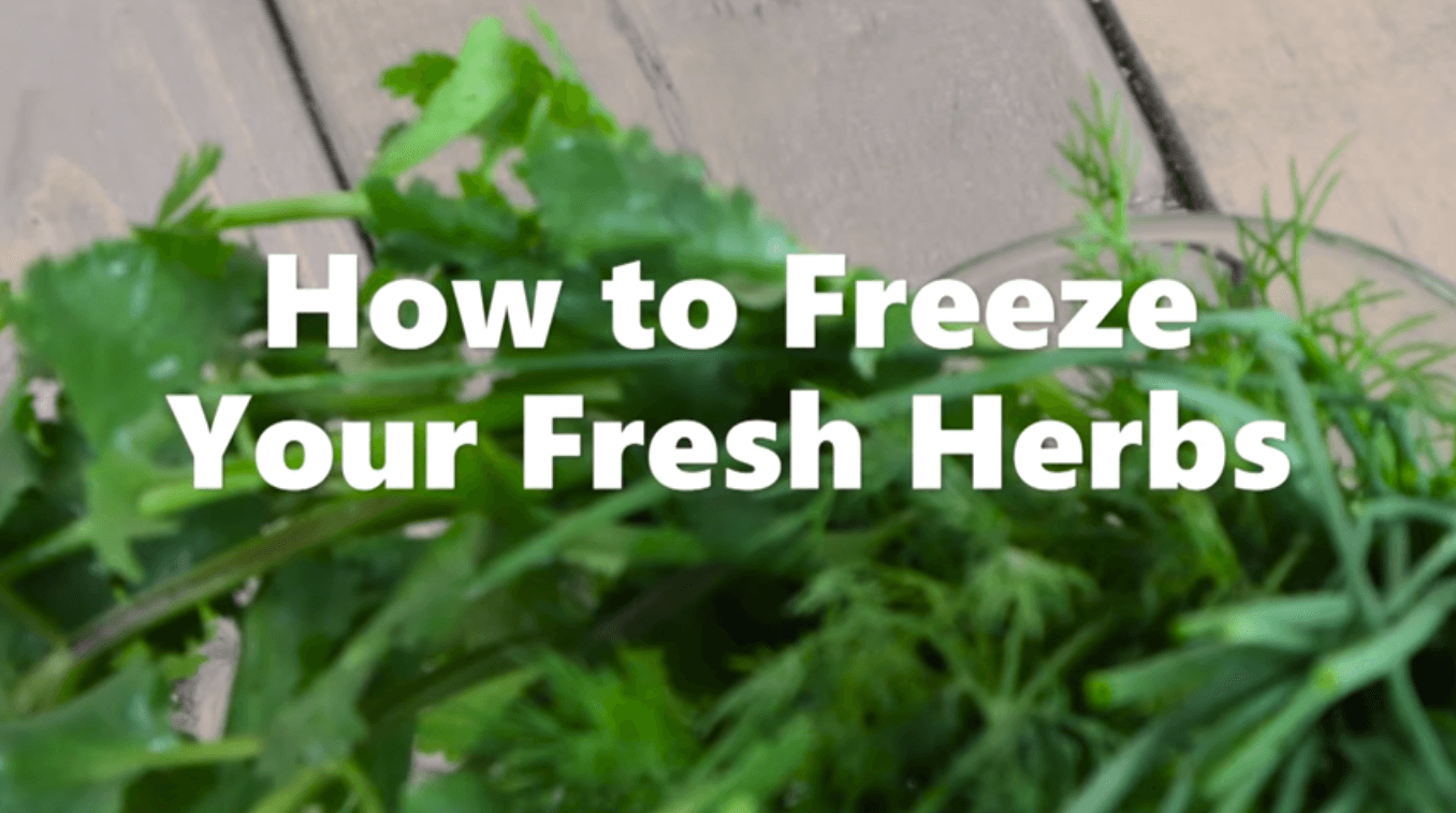 How to Freeze Your Fresh Herbs