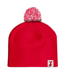 Go Red for Women beanie hat Go Red for Women beanie hat