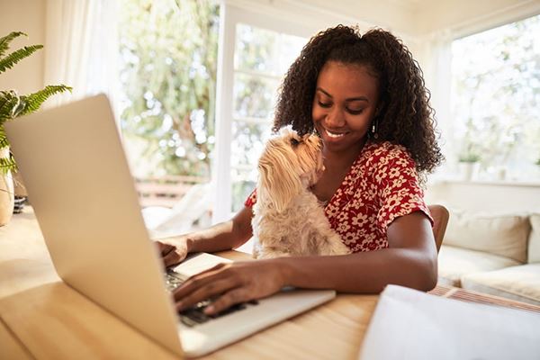 woman using laptop with dog woman using laptop with dog