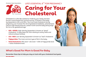 cropped thumbnail of Life's Essential 8 Pregnancy - Caring for Your Cholesterol PDF