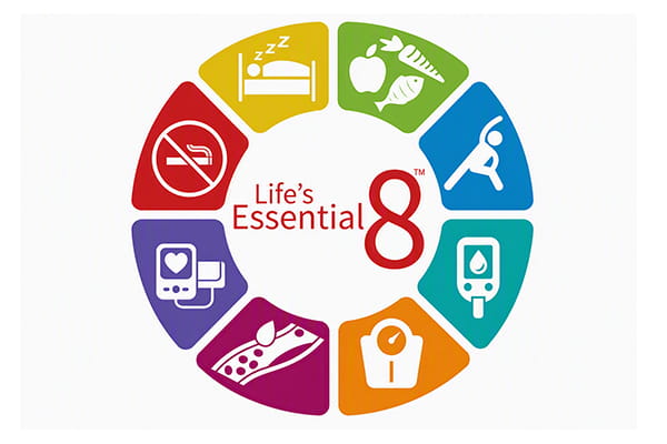 Decorative illustration of program logo for Life's Essential 8