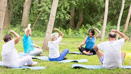 active grandparents excercising in garden active grandparents excercising in garden