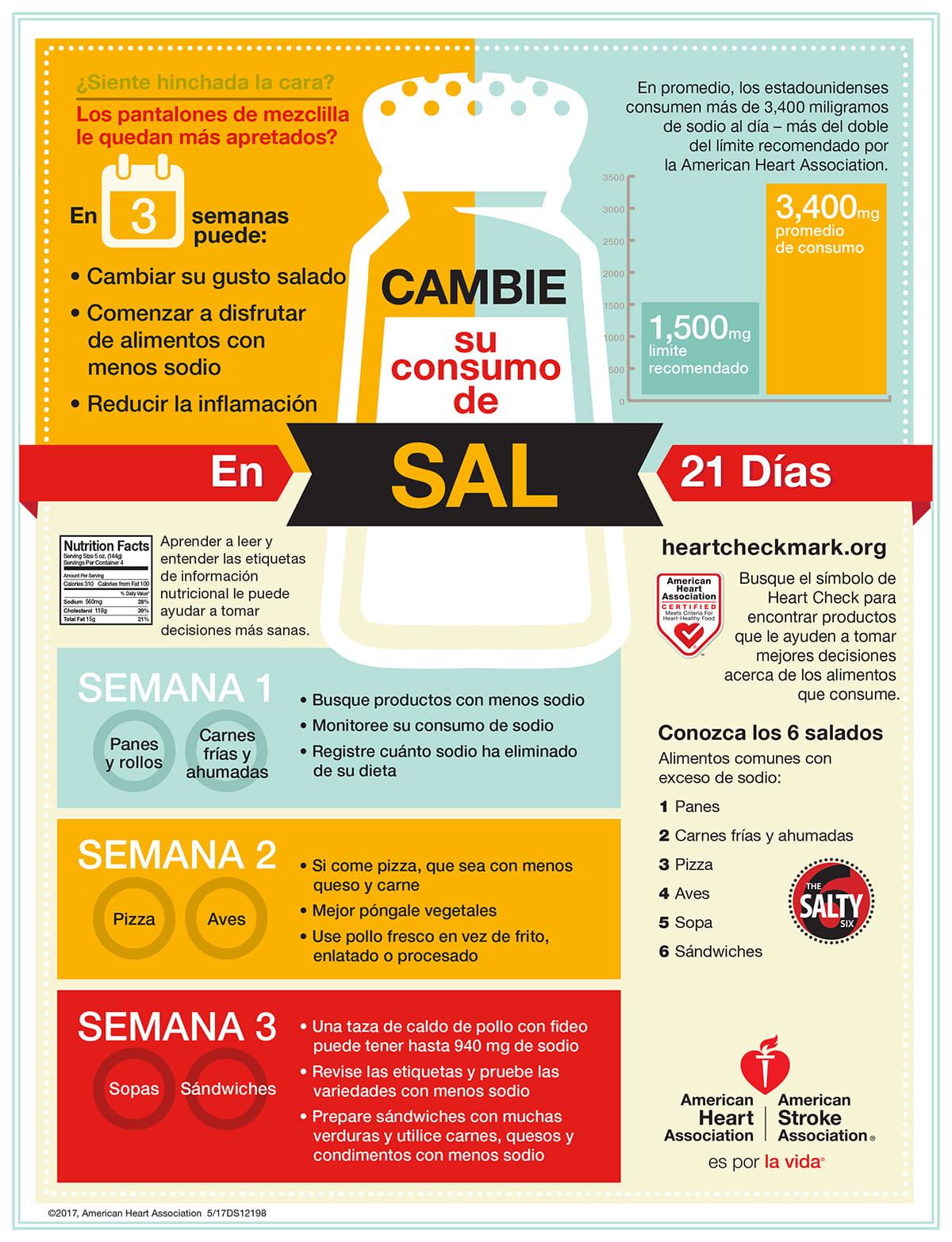 Infografía del Intercambio de sodio, español