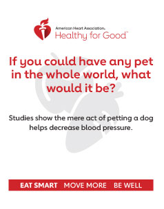 If you could have any pet in the whole world, what would it be? Studies show the mere act of petting a dog helps decrease blood pressure. If you could have any pet in the whole world, what would it be? Studies show the mere act of petting a dog helps decrease blood pressure.