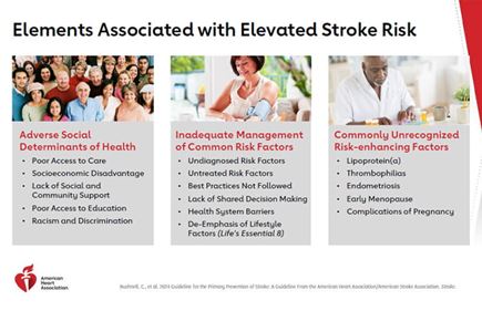 AHA Clinical Update: 2024 Guideline for the Primary Prevention of Stroke