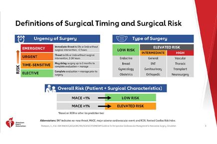 AHA Clinical Update: 2024 AHA/ACC/ACS/ASNC/HRS/SCA/SCCT/SCMR/SVM Guideline for Perioperative Cardiovascular Management for Noncardiac Surgery