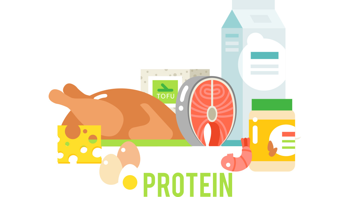 diferentes tipos de proteínas