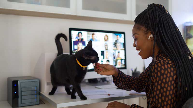mujeres jóvenes que trabajan desde casa durante una videollamada con su mascota