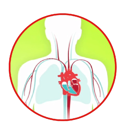Diagrama de insuficiencia cardíaca